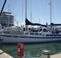Coral Sea Dreaming Dive and Sail - Accommodation Yamba