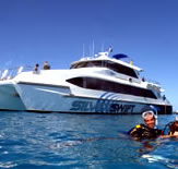 Silver Swift - Accommodation Yamba