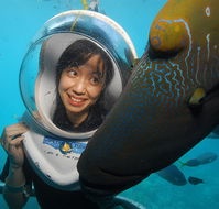 Sunlover Reef Cruises - Accommodation Yamba