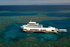Sunlover Reef Cruises - Accommodation Yamba 2
