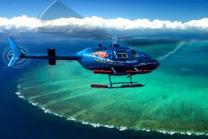 Sunlover Reef Cruises - Accommodation Yamba 3
