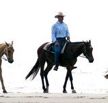 Ride the Beach - Accommodation Yamba