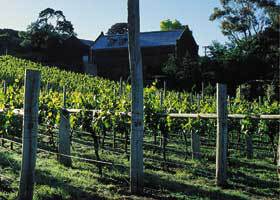 Goona Warra Vineyard - Accommodation Yamba 1