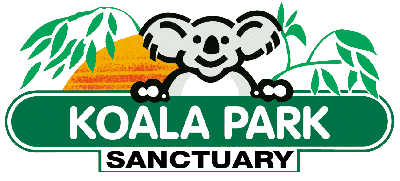 Koala Park Sanctuary - Accommodation Yamba 0