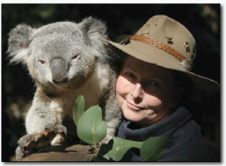 Koala Park Sanctuary - Accommodation Yamba 2