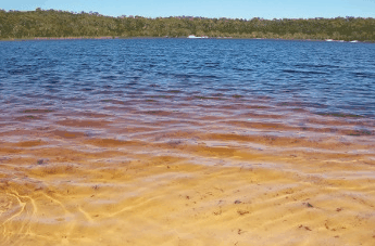 Beach Trekkers North Stradbroke Island - Accommodation Yamba 1