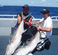 Blue Juice Charters - Accommodation Yamba