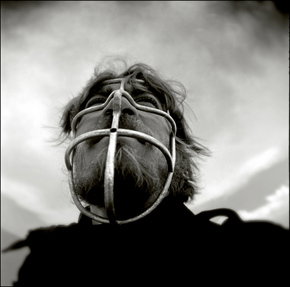 Australian Centre For Photography - Accommodation Yamba 3