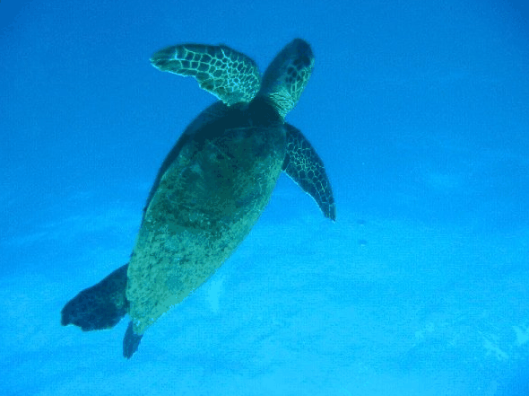 Redcliffe QLD Accommodation Yamba