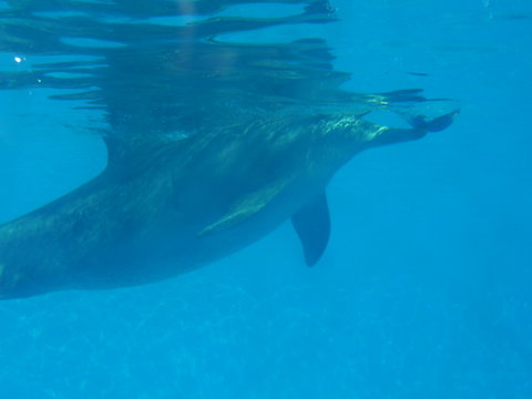 Clarence River BBQ Boats - Accommodation Yamba 2