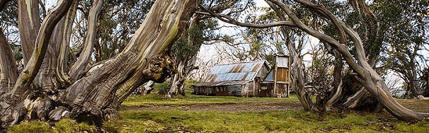 High Country Scenic Tours - Accommodation Yamba