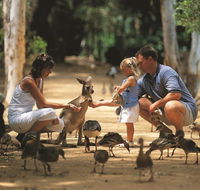 Billabong Sanctuary - Accommodation Yamba