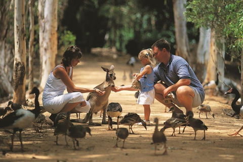 Billabong Sanctuary - Accommodation Yamba 0