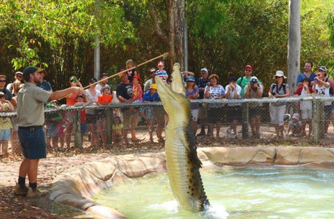 Billabong Sanctuary - Accommodation Yamba 2