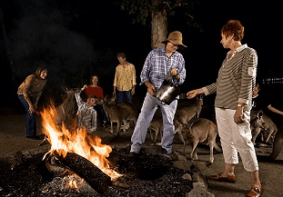 Cairns Night Zoo - Accommodation Yamba 0