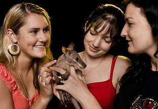 Cairns Night Zoo - Accommodation Yamba 1