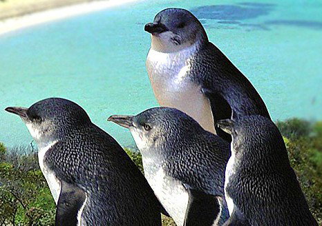 South Eastern Perth WA Accommodation Yamba