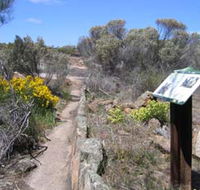 Christmas Rock Walk - Accommodation Yamba