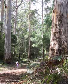  Accommodation Yamba