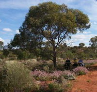 Karlkurla Bushland Park - Accommodation Yamba
