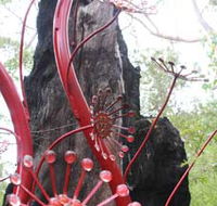 Understory Art In Nature - Accommodation Yamba