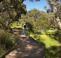Leschenault Peninsula Conservation Park - Accommodation Yamba