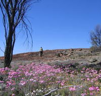Talgomine Reserve - Accommodation Yamba