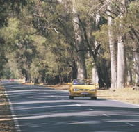 Ludlow Tuart Forest - Accommodation Yamba