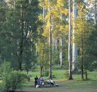 Big Brook Arboretum - Accommodation Yamba