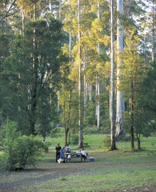 Big Brook Arboretum - Accommodation Yamba 0