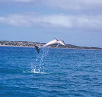 Steep Point - Accommodation Yamba