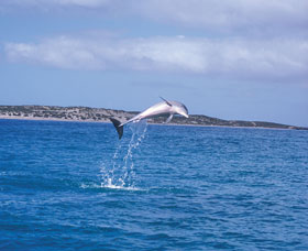 Steep Point - Accommodation Yamba 0