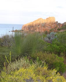 Meelup Trail - Accommodation Yamba 0