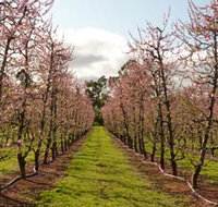 Raeburn Orchards - Accommodation Yamba