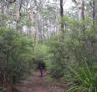 Margaret River Rails Trail - Accommodation Yamba
