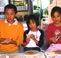 Peel Pottery - Accommodation Yamba