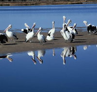 Peel Region Canoe Trails - Accommodation Yamba