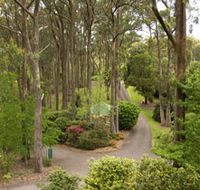 Mount Lofty Botanic Garden - Accommodation Yamba