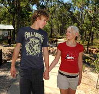 Crooked Brook Forest - Accommodation Yamba