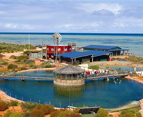 Shark Bay WA Accommodation Yamba