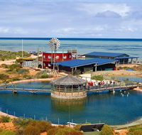 Ocean Park Aquarium - Accommodation Yamba
