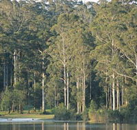 Big Brook Dam - Accommodation Yamba