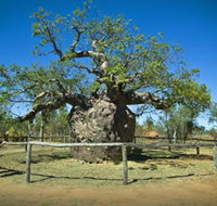 Pigeon Heritage Trail - Accommodation Yamba