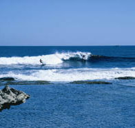 West End - Accommodation Yamba