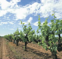 Blackwood Meadery - Accommodation Yamba