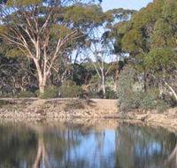 Merredin Railway Dam - Accommodation Yamba