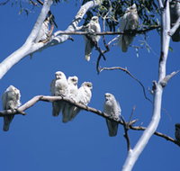 Carawine Gorge - Accommodation Yamba