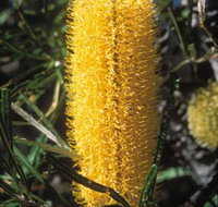 Moore River National Park - Accommodation Yamba