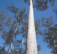 The Four Aces - Accommodation Yamba