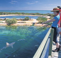Shark Bay Marine Park - Accommodation Yamba